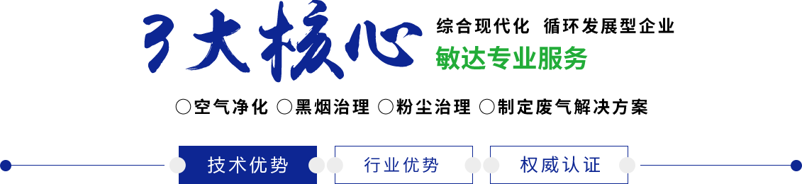 日本大鸡巴免费敏达环保科技（嘉兴）有限公司